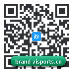 iOS 系统版 二维码（Ai）